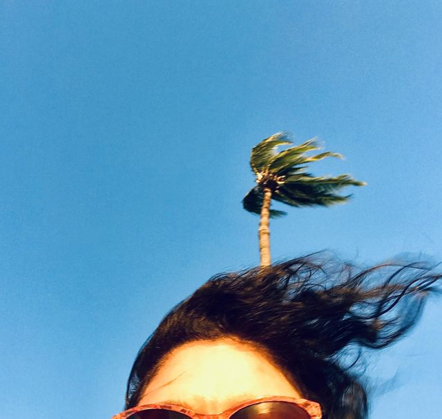Wind in motion