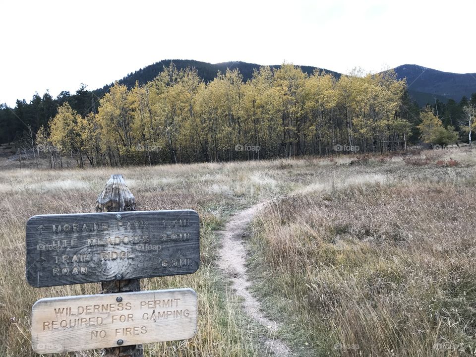 Rocky Mountain National Park - sign on trail w/ aspen trees.