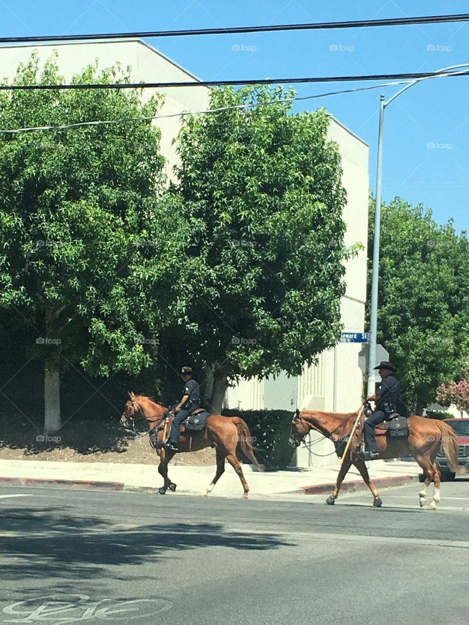 Police by horse