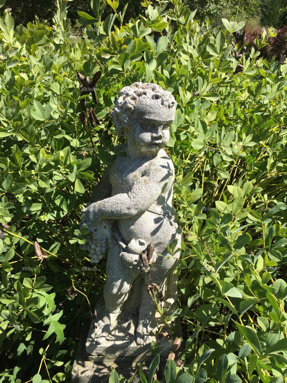 Garden, Nature, Stone, Leaf, Statue