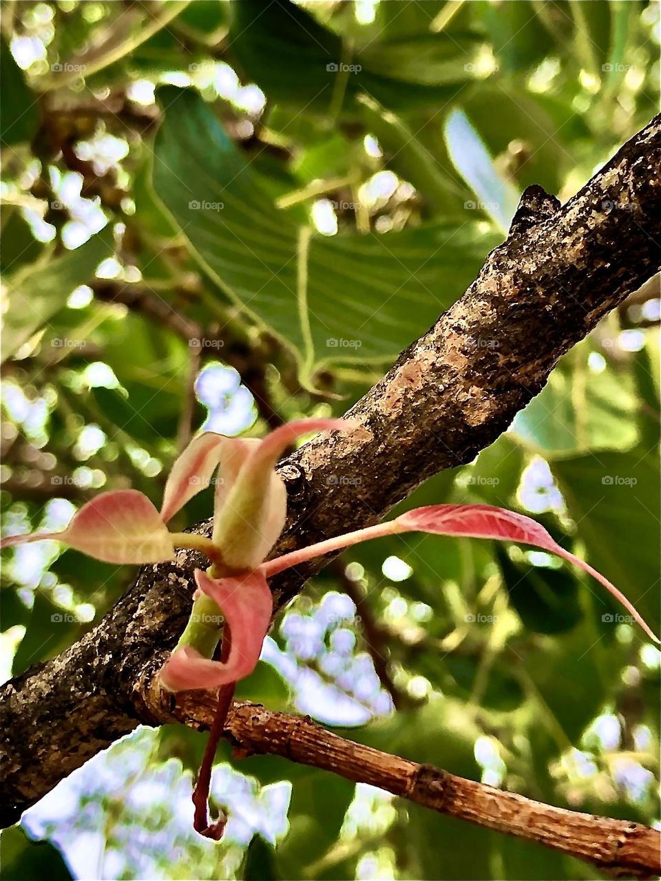 Upload the photo of the month  July