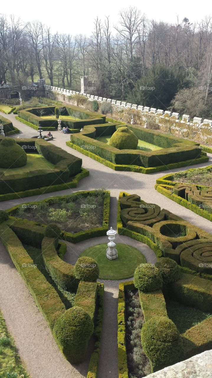 Elizabethan garden
