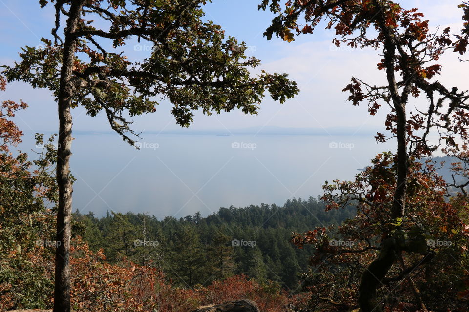 Foggy ocean view in autumn