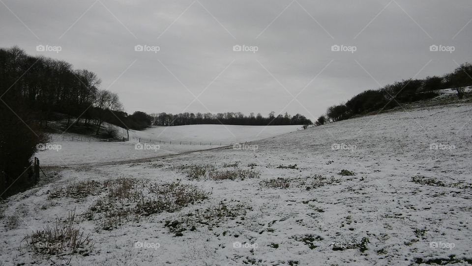 Snow In The Countryside