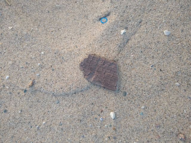Unfiltered beautiful close-up of wood on the beach