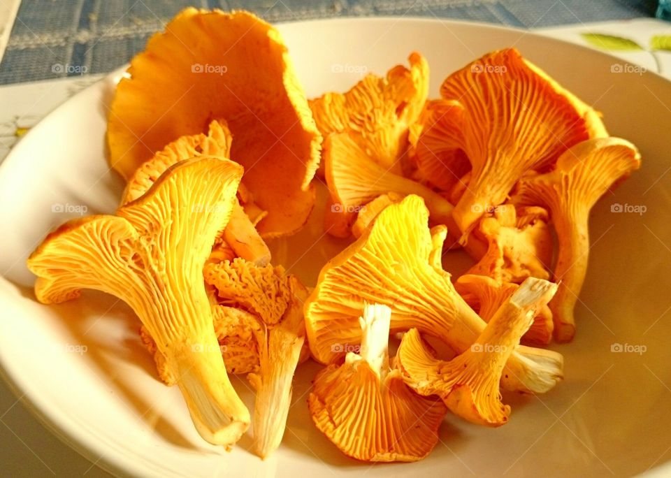 chanterelles . chanterelles 