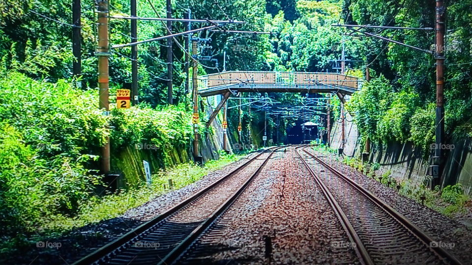 linha de trem