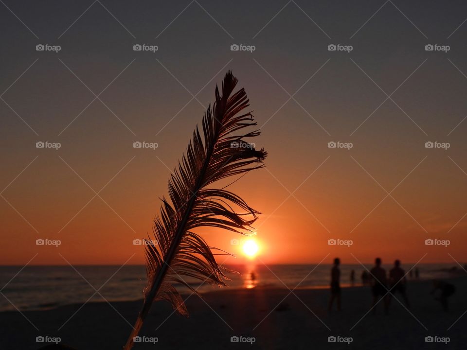 Give Me Light - A silhouette of a feather is enhanced with the ambient light from a excellent Gulf of Mexico sunset