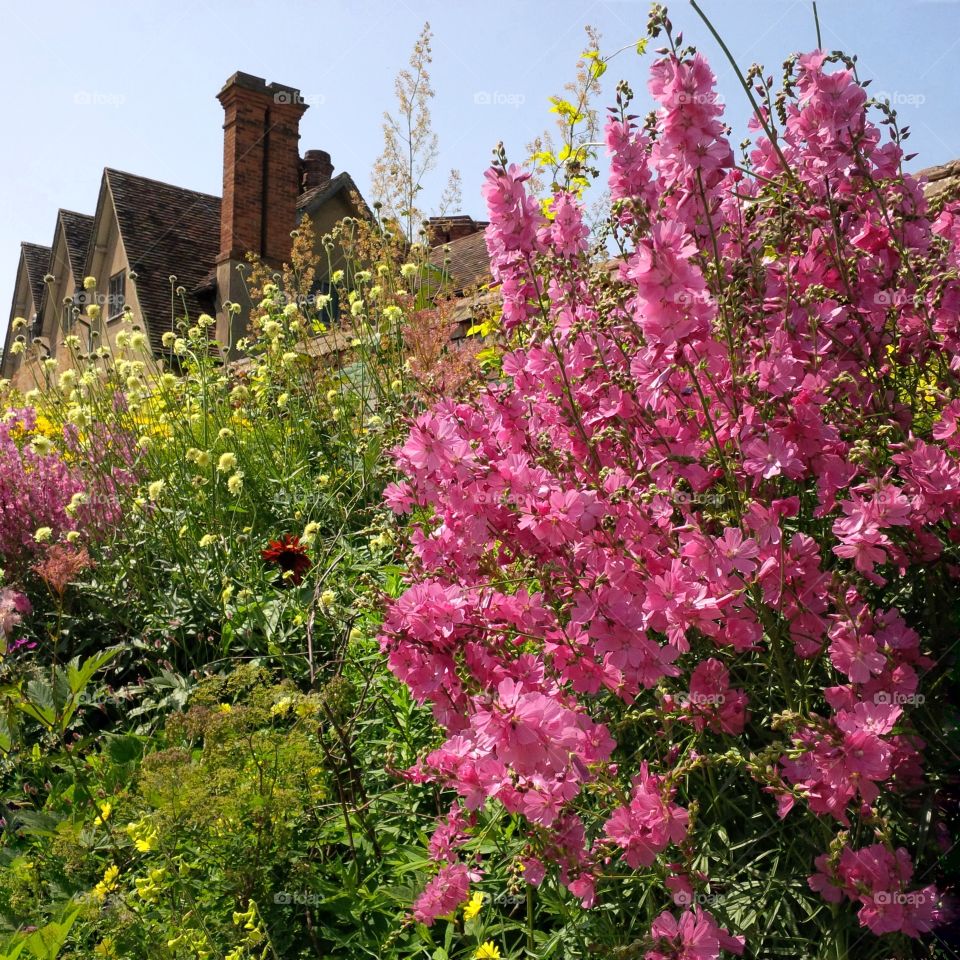 Formal gardens of Packwood House stately home - Warwickshire, England UK. 