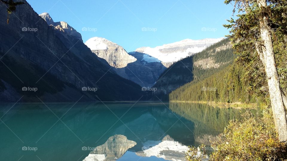 Lake Louise reflection. Photo of Lake Louise in a reflective mood in Alberta Canada on an early autumn morning in September 2013