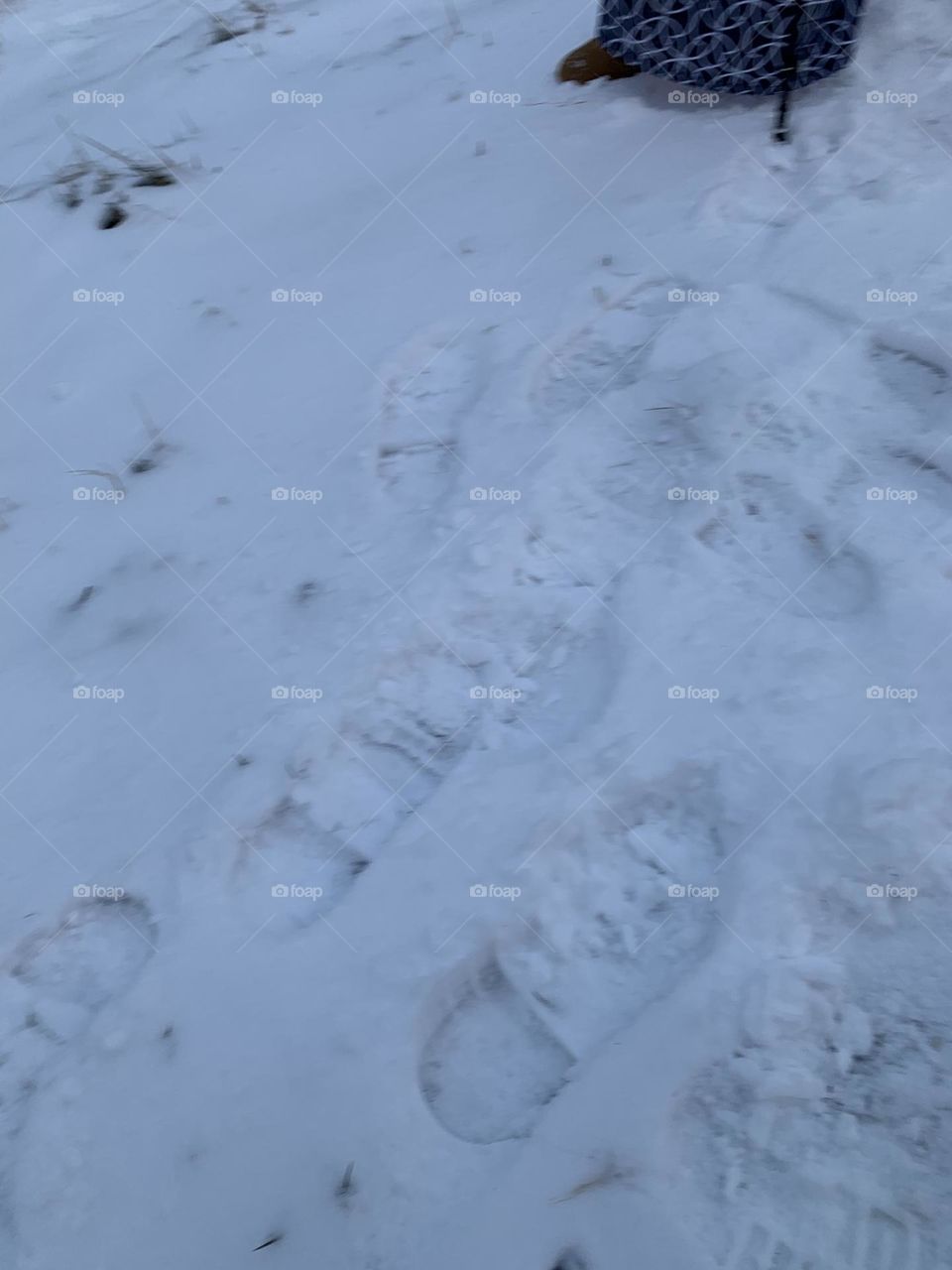 Foot prints in snow