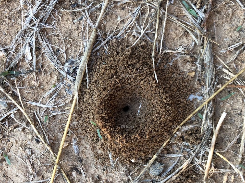  New home but nobodies home