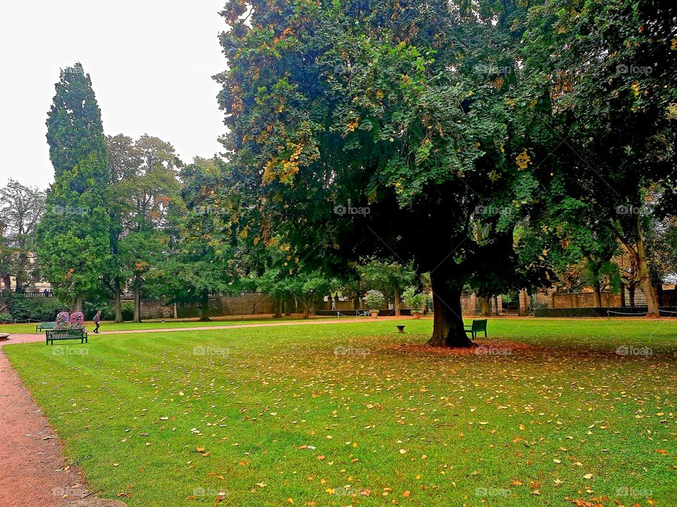 Schöne Park in Fulda