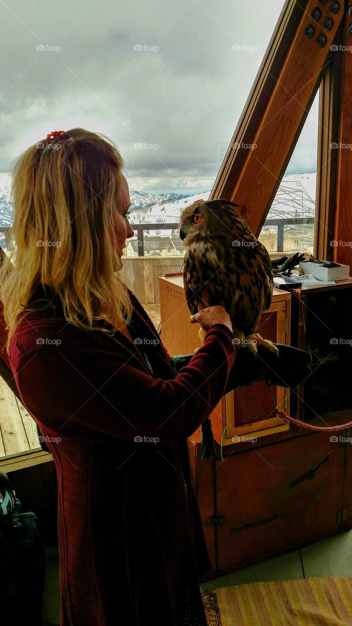 girl and owl in love