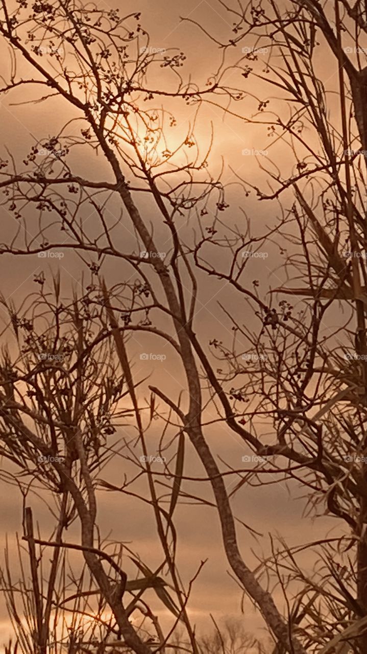 Lovingly completely Overcast Clouds with Sun Breaks which Gave Me My Break to Capture Colors of the Sky. 