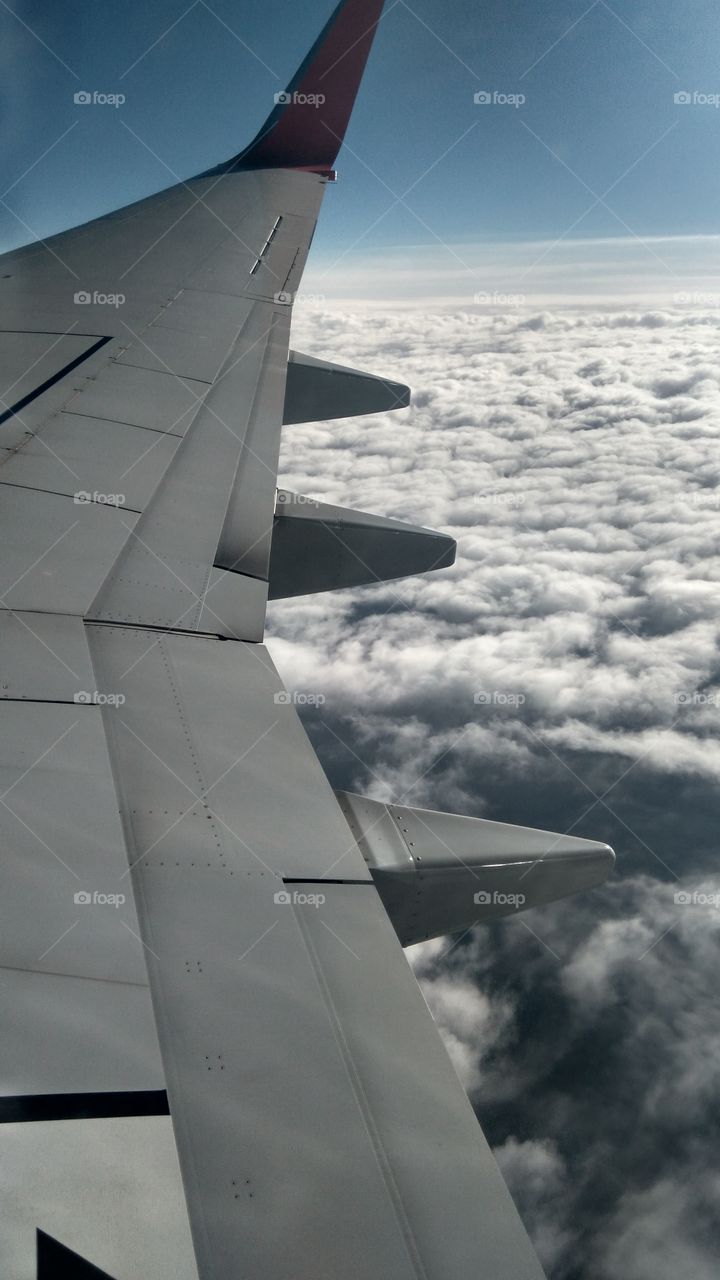 plane view