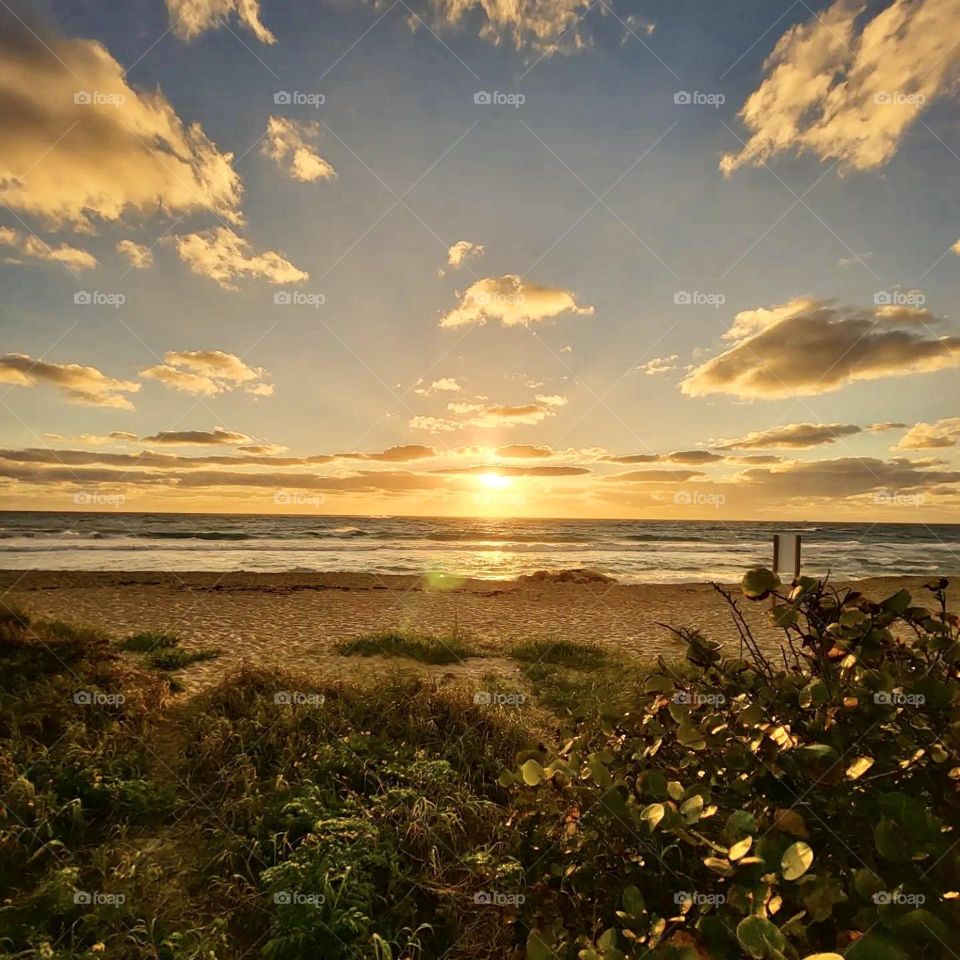 Waking up and seeing this beautiful sunrise is such a blessing. South Florida has the most amazing sunrises! 