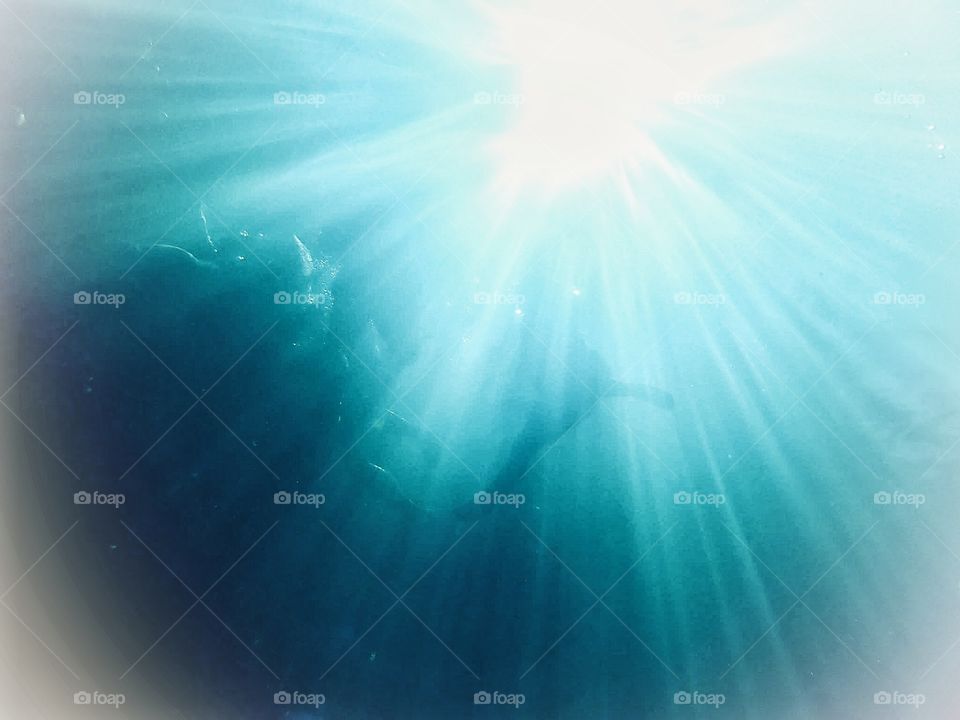 Rays under the water