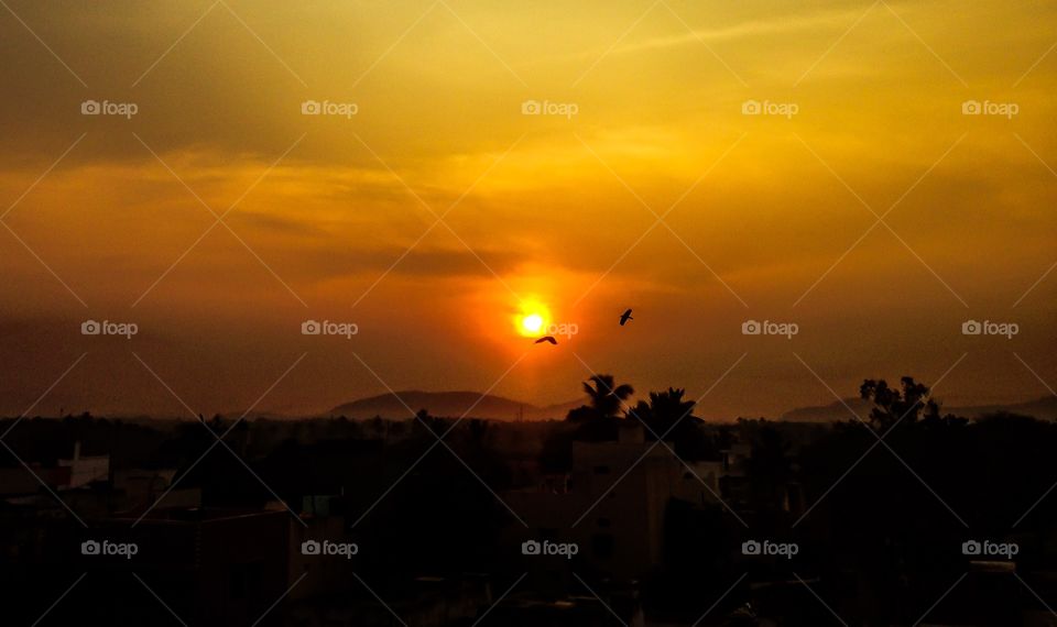 Sunset