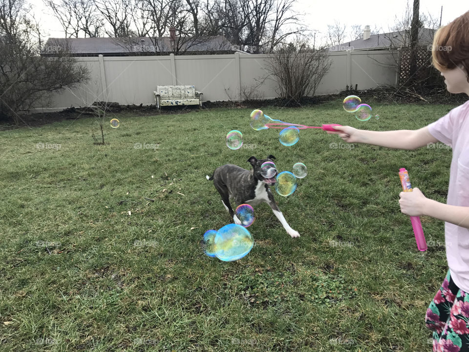Fun with bubbles