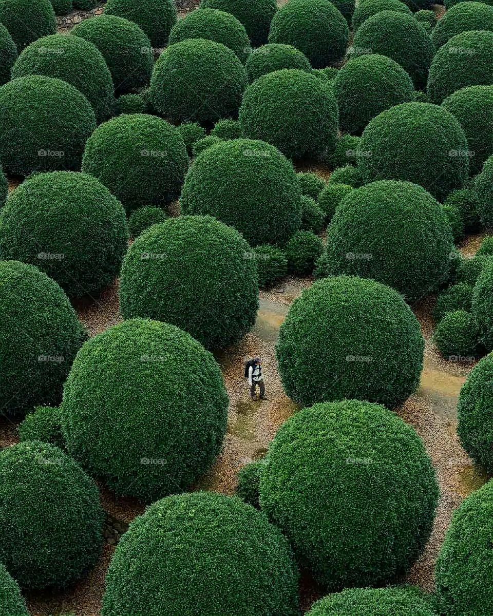 Glory be to God, the magnificent and picturesque view and the natural green trees are a view that is nothing more wonderful than it
