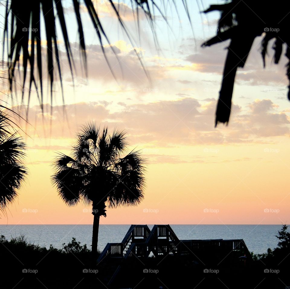 Ocean Sun. Dusk in SC