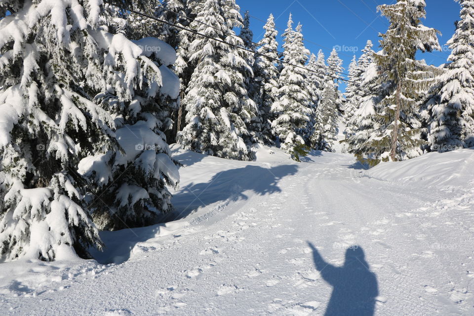 Shades talking on the snow 