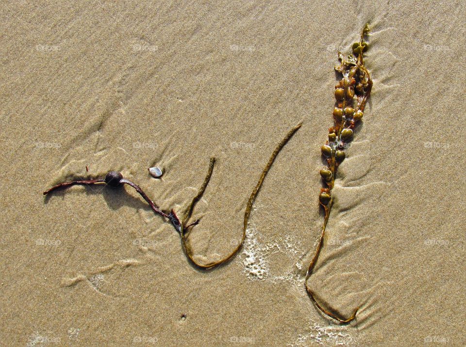 On the beach