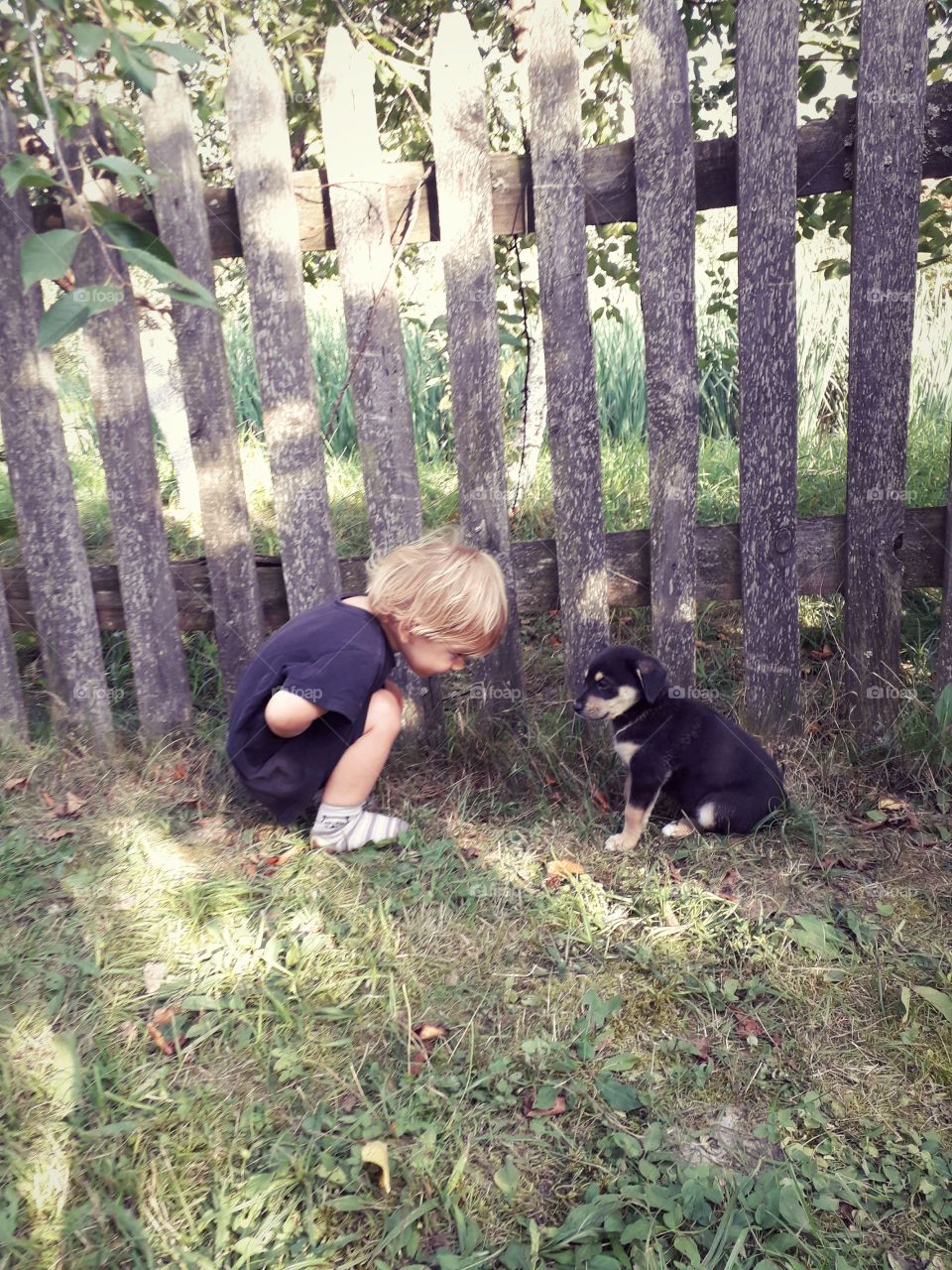 child and a puppy