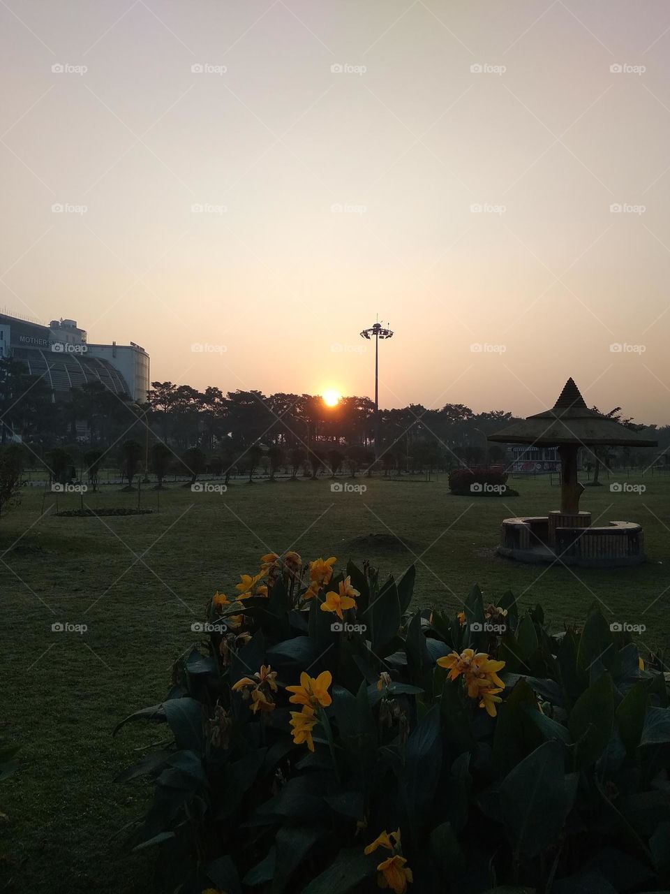 beautiful sunset colorful in the garden