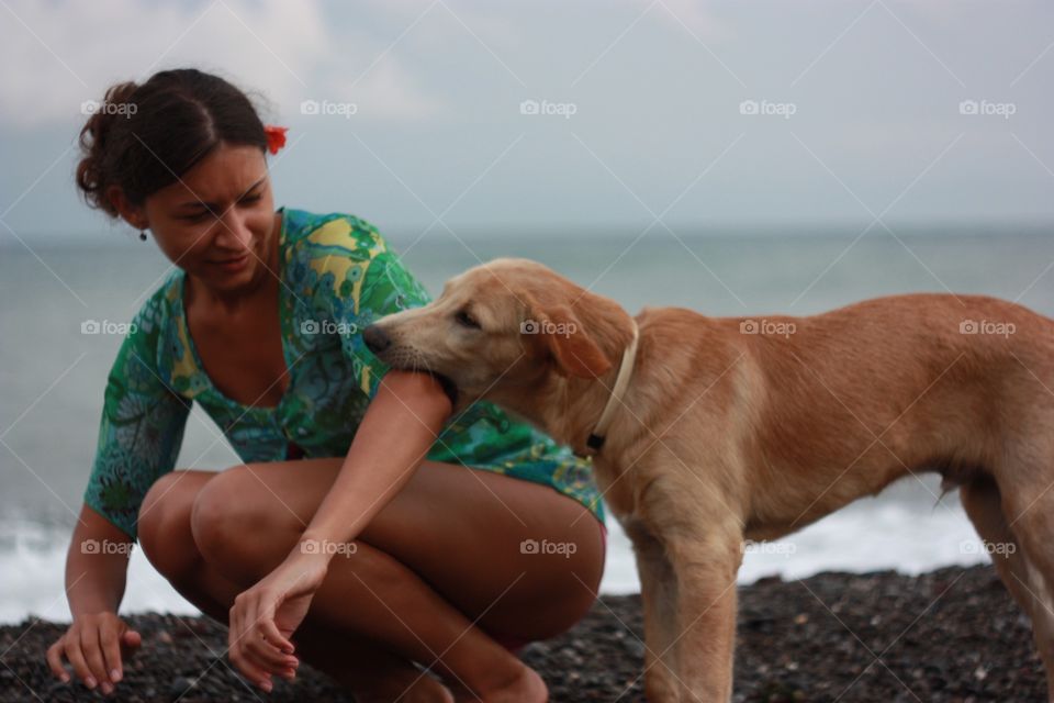 Beach, Dog, One, Water, Outdoors