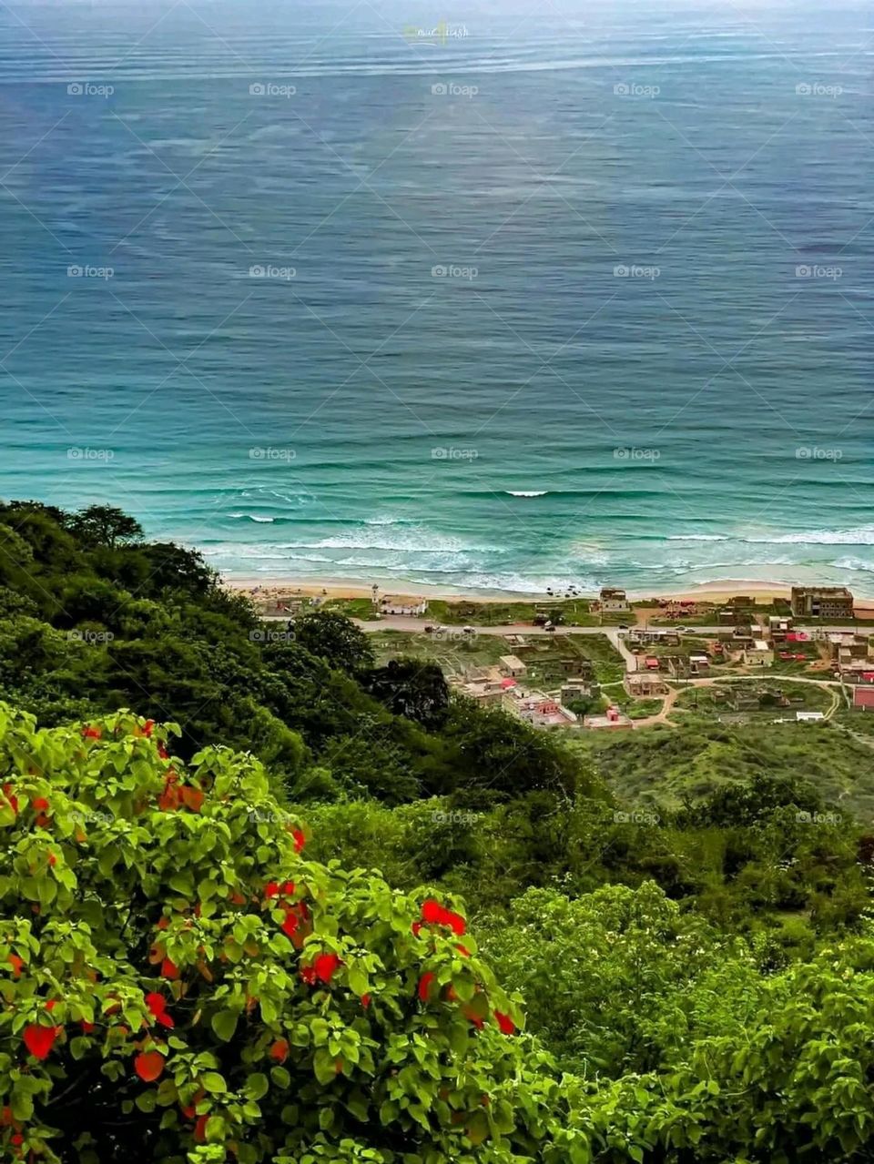 A very beautiful picture, and there is no better picture than it. There is no better picture of green herbs and colorful, red and white roses than it. Glory be to God, the natural and picturesque view, and there is no more