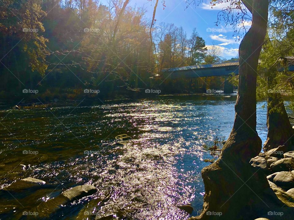 Locust Fork River and Swann Covered Bridge in Autumn 