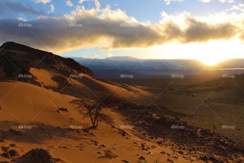 View of Sahara desert