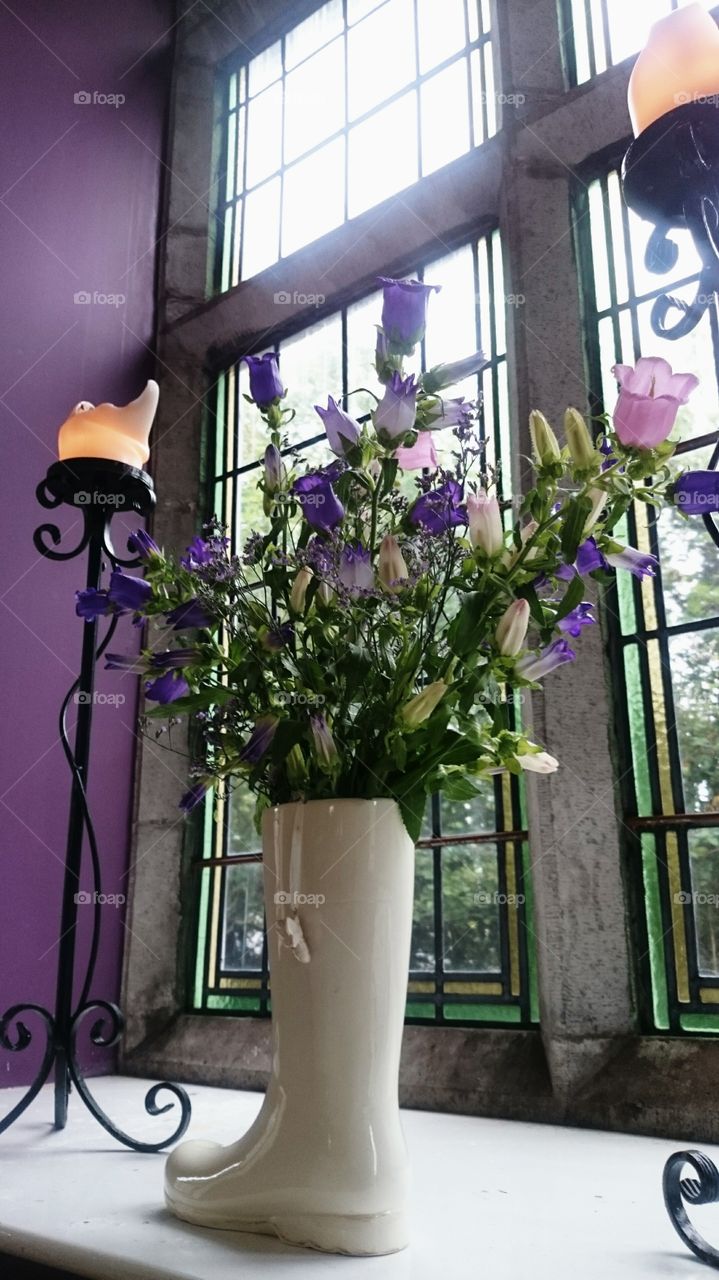 Vase, Flower, Window, No Person, House