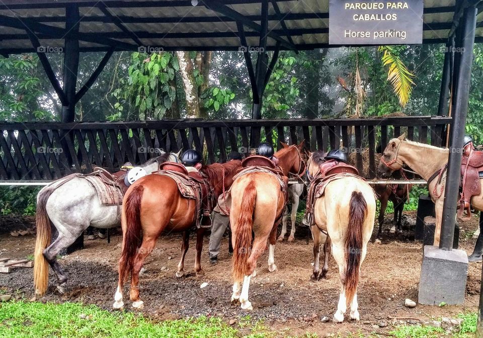 Horse parking at La Fortuna waterfall in central Costa Rica
