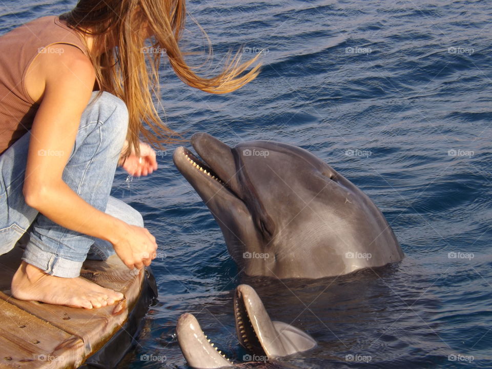 Dolphins. Dolphinarium in Eilat, Israel