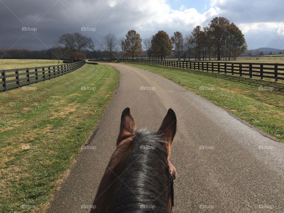 Horseback riding up the road between rain storms and admiring the beautiful clouds in the distant sky horizon