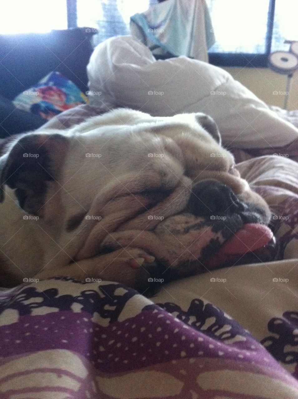 Sleeping is exhausting.