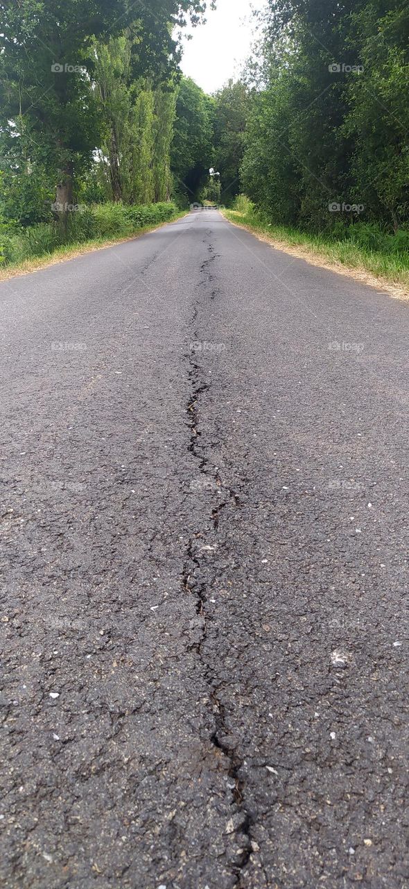 A crack in the asphalt in the middle of a country road spreads out into the background where trees and vegetation frame the road.