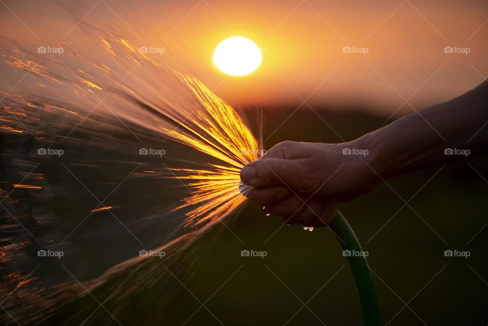 Woman watering the garden at sunset