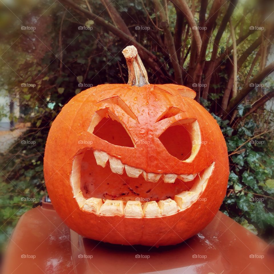 Halloween pumkin