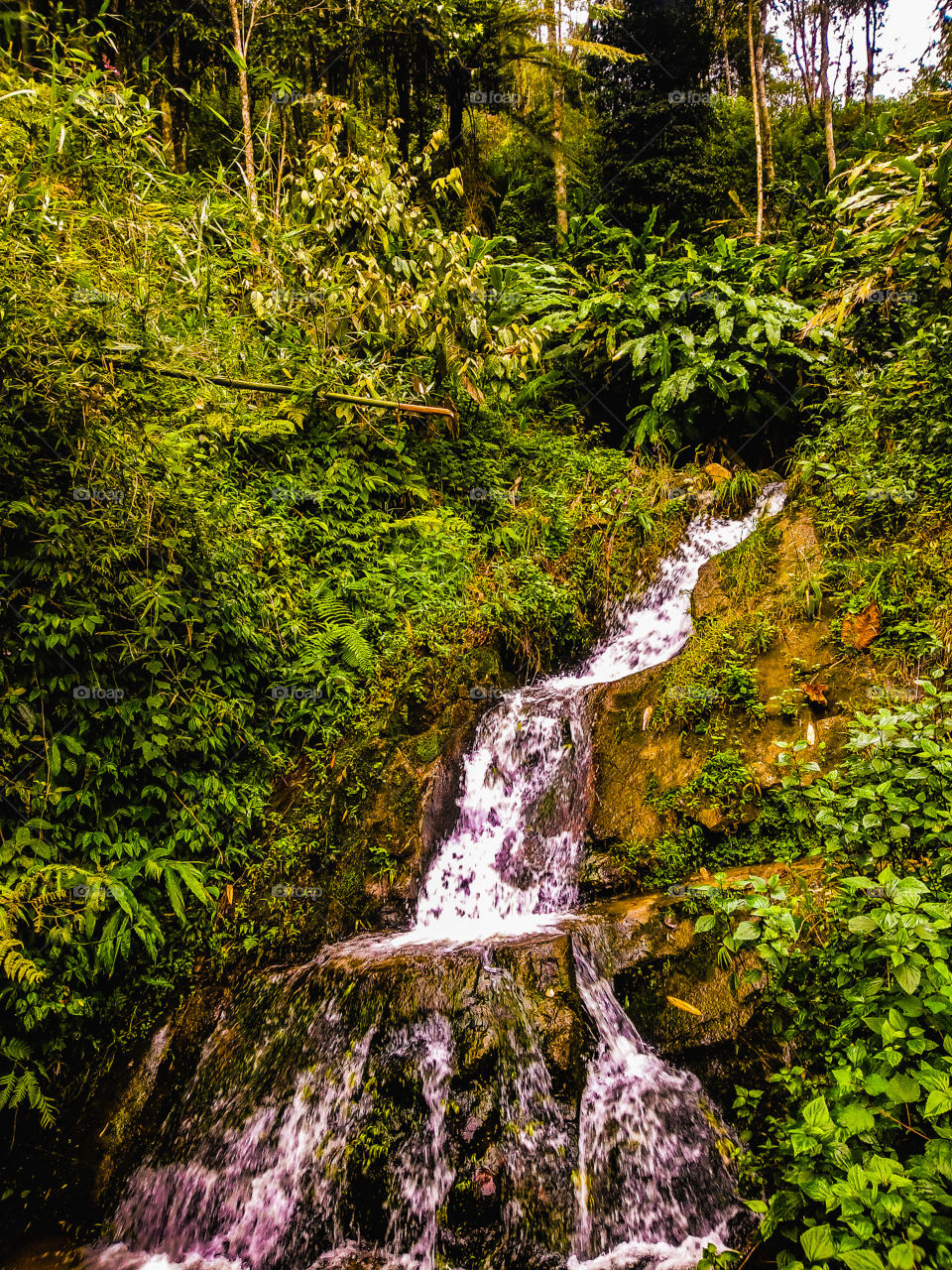 Sa Pa - Vietnam 🇻🇳