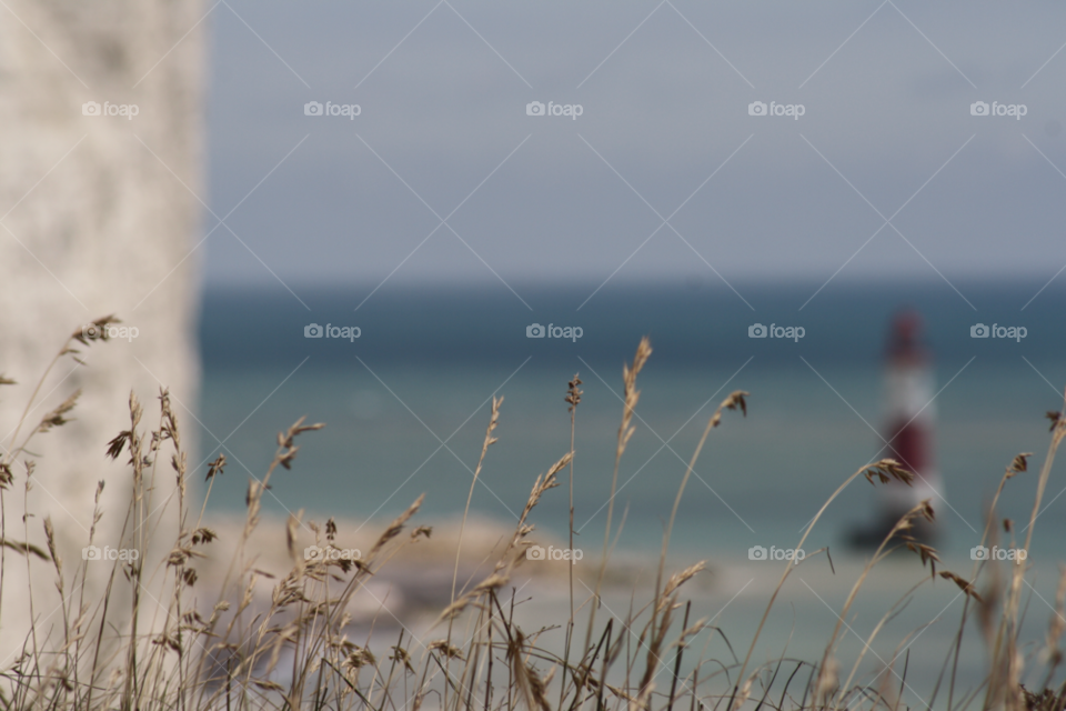 grass summer lighthouse eastbourne by leonbritton123