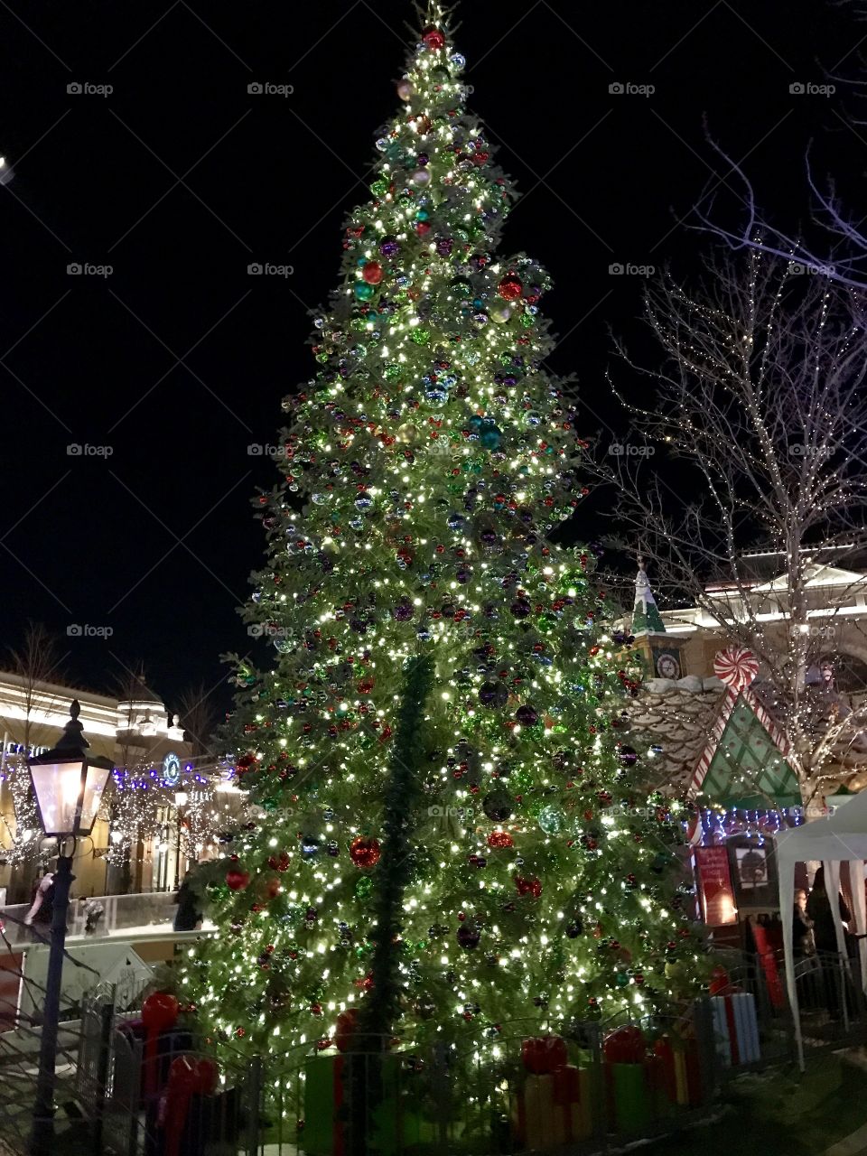 Christmas tree. Meridian Idaho. 