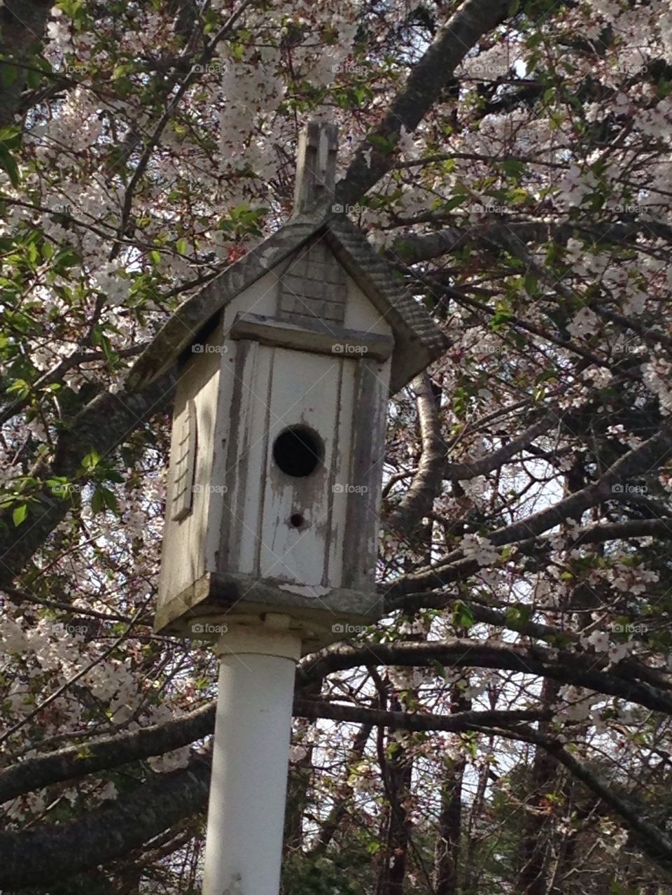Church birdhouse