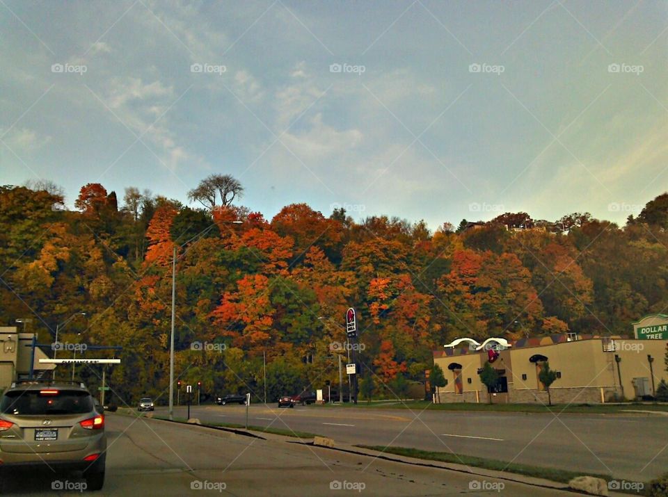 A picture of a bluff taken during fall