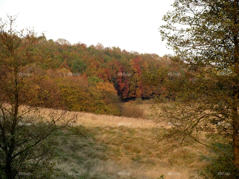 Autumn in the countryside 