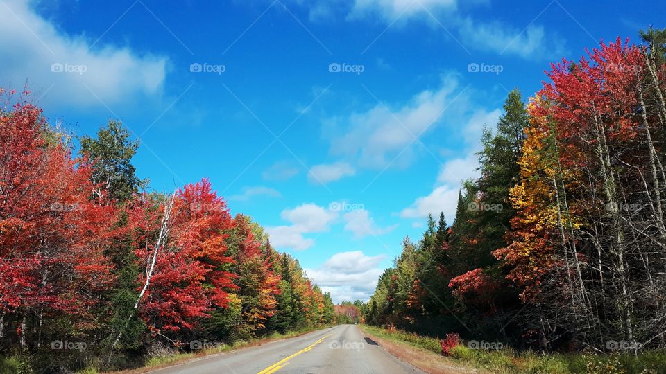 beautiful blue sky and white clouds over fall colors along the road