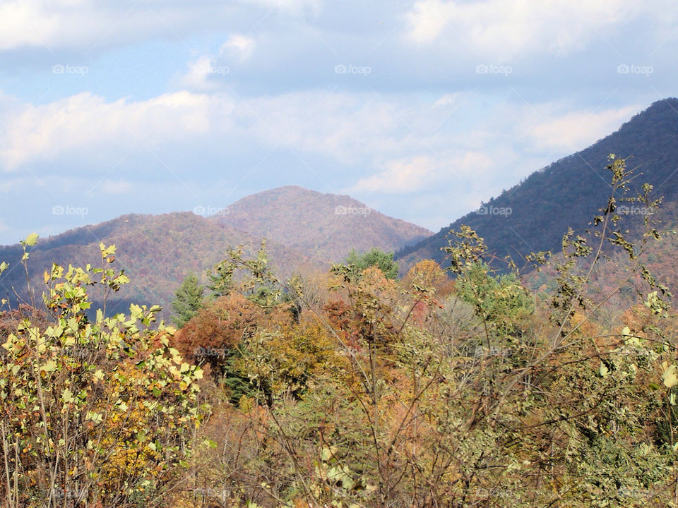 nature outdoors wood mountain by refocusphoto